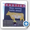 Wyoming-010